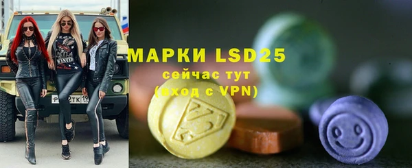 стаф Магас