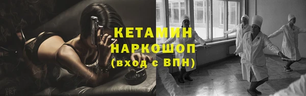 стаф Магас