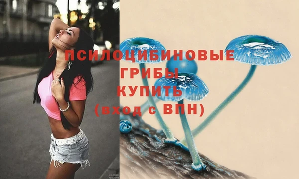 стаф Магас