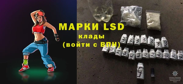 стаф Магас